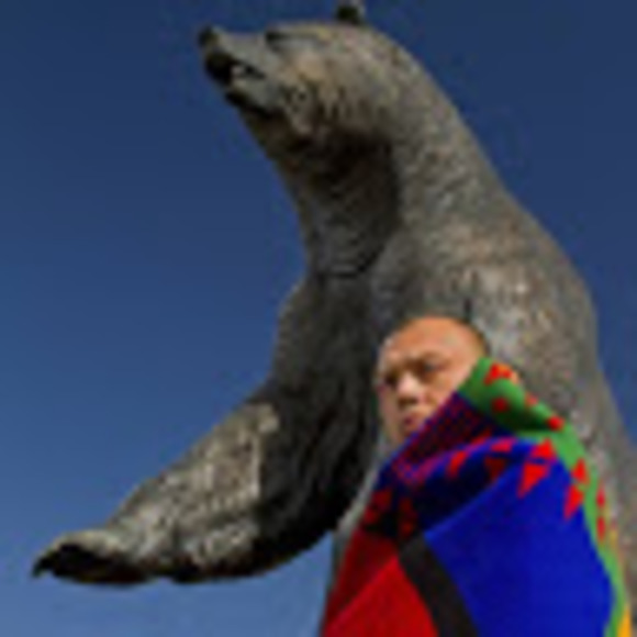 davidbearshield